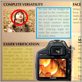 annotation tools that allow easy review