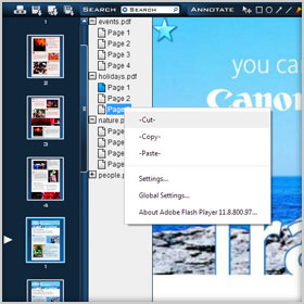 Cut, Copy,and Paste Pages Cut, Copy,and Paste Pages