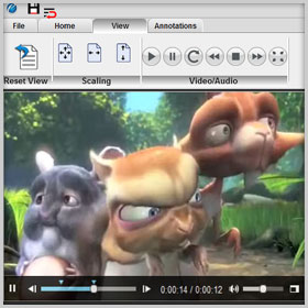 Audio and Video Controls