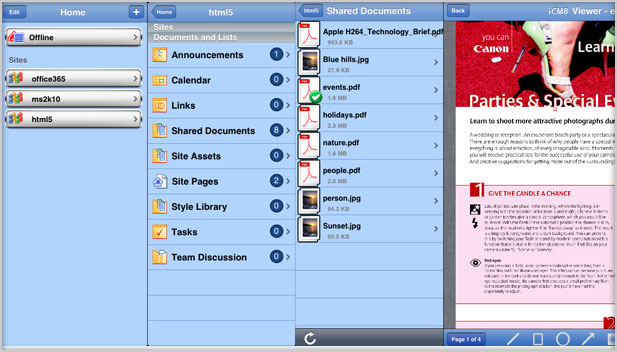 View documents from IBM DB2 Content Manager Item Types/Folders