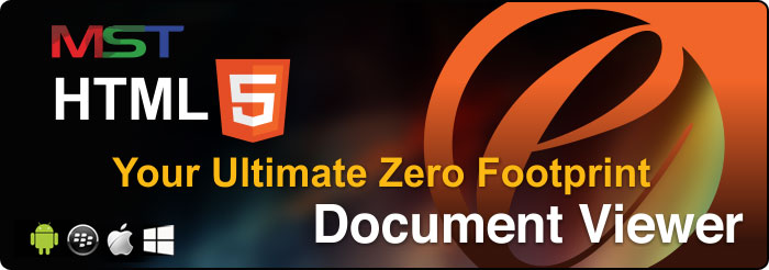 HTML5 eViewer